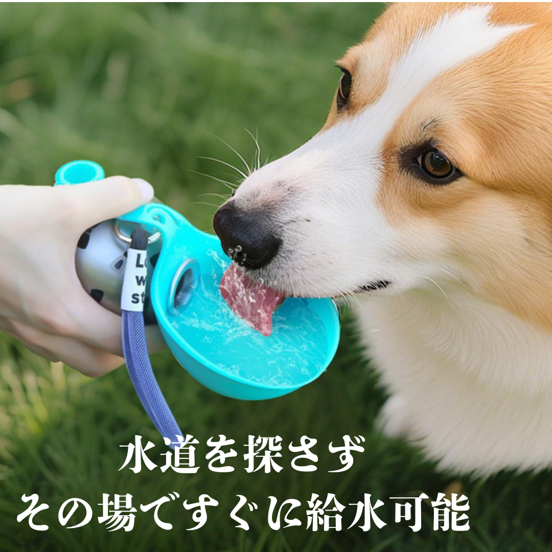 ひとくち給水ボウル