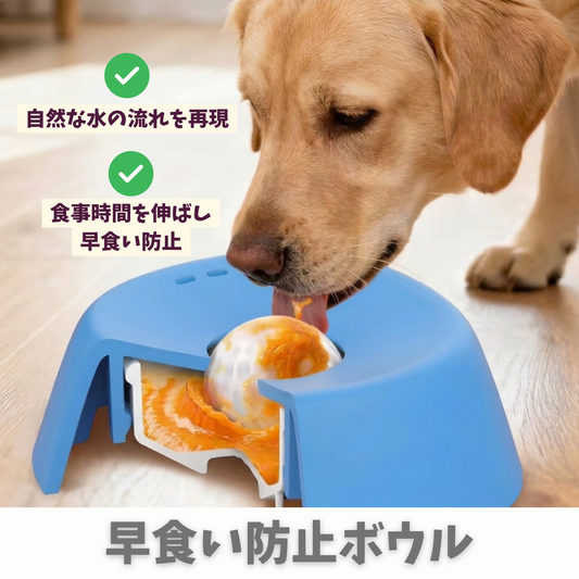 早食い防止ボウル